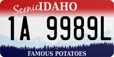 ID license plate 1A9989L