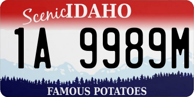 ID license plate 1A9989M