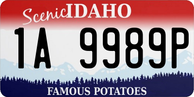 ID license plate 1A9989P