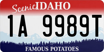 ID license plate 1A9989T