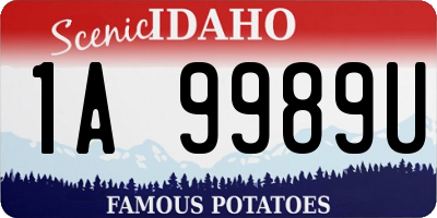 ID license plate 1A9989U
