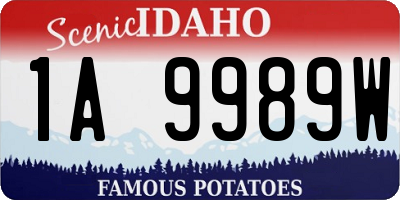 ID license plate 1A9989W
