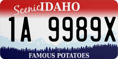 ID license plate 1A9989X