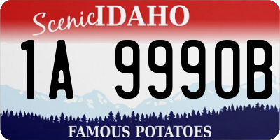ID license plate 1A9990B
