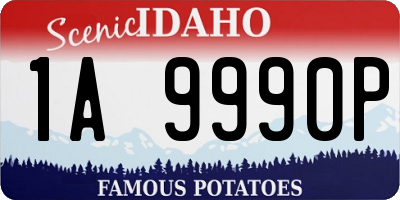 ID license plate 1A9990P