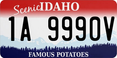 ID license plate 1A9990V