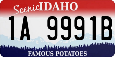 ID license plate 1A9991B