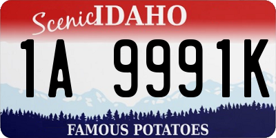 ID license plate 1A9991K