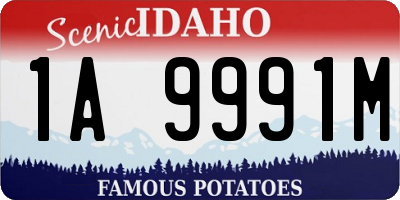 ID license plate 1A9991M