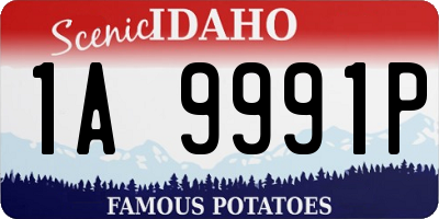 ID license plate 1A9991P