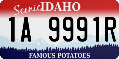 ID license plate 1A9991R