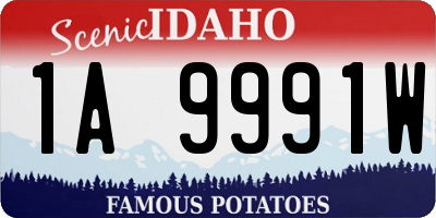 ID license plate 1A9991W