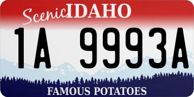 ID license plate 1A9993A
