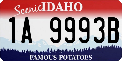 ID license plate 1A9993B