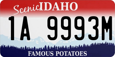 ID license plate 1A9993M