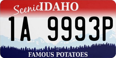 ID license plate 1A9993P