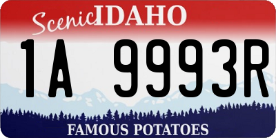 ID license plate 1A9993R