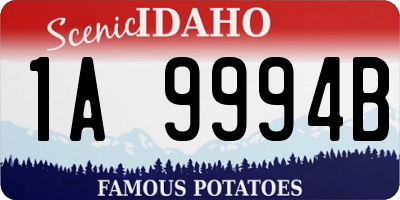 ID license plate 1A9994B