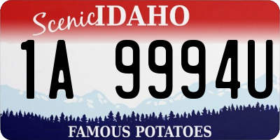 ID license plate 1A9994U