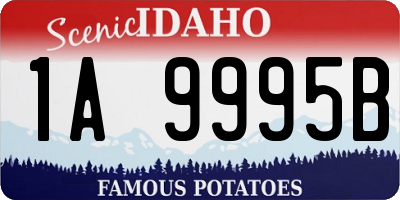 ID license plate 1A9995B