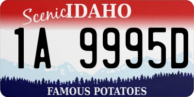 ID license plate 1A9995D