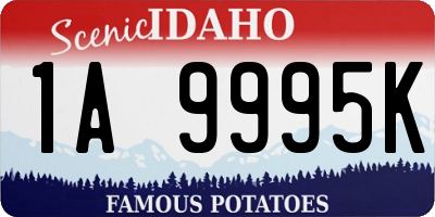 ID license plate 1A9995K