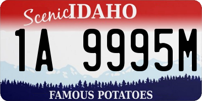 ID license plate 1A9995M