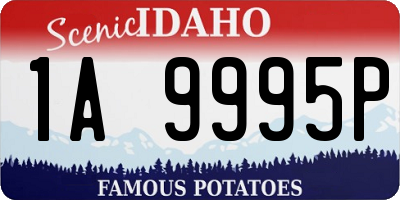 ID license plate 1A9995P