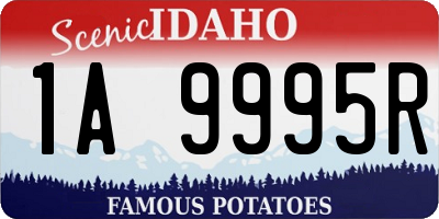 ID license plate 1A9995R