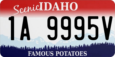 ID license plate 1A9995V