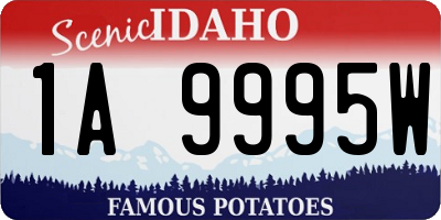 ID license plate 1A9995W