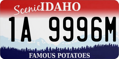 ID license plate 1A9996M