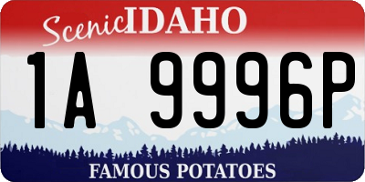 ID license plate 1A9996P