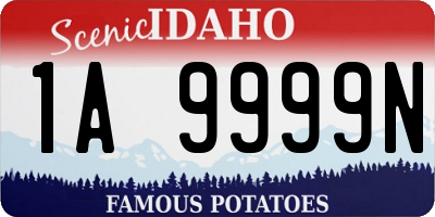 ID license plate 1A9999N