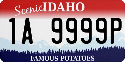 ID license plate 1A9999P