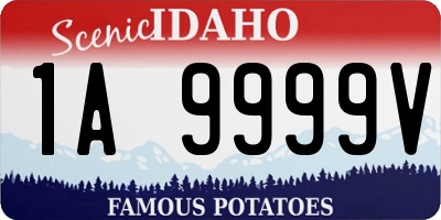 ID license plate 1A9999V