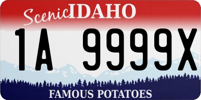 ID license plate 1A9999X