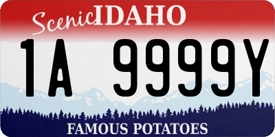 ID license plate 1A9999Y