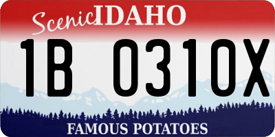 ID license plate 1B0310X