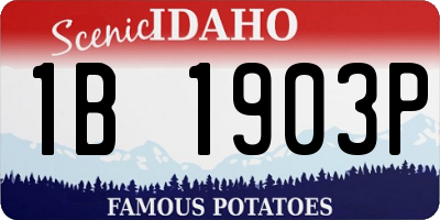 ID license plate 1B1903P