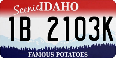 ID license plate 1B2103K