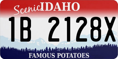 ID license plate 1B2128X