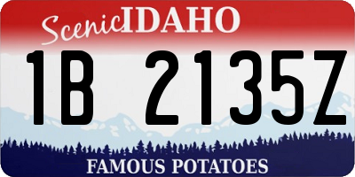 ID license plate 1B2135Z