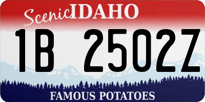 ID license plate 1B2502Z