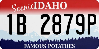 ID license plate 1B2879P
