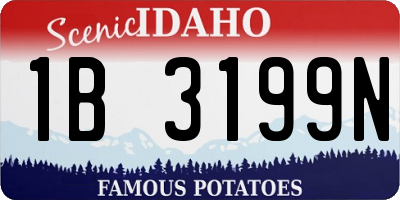ID license plate 1B3199N