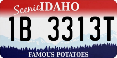 ID license plate 1B3313T