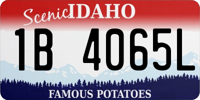 ID license plate 1B4065L