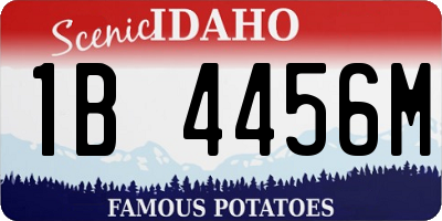 ID license plate 1B4456M