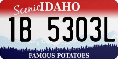 ID license plate 1B5303L